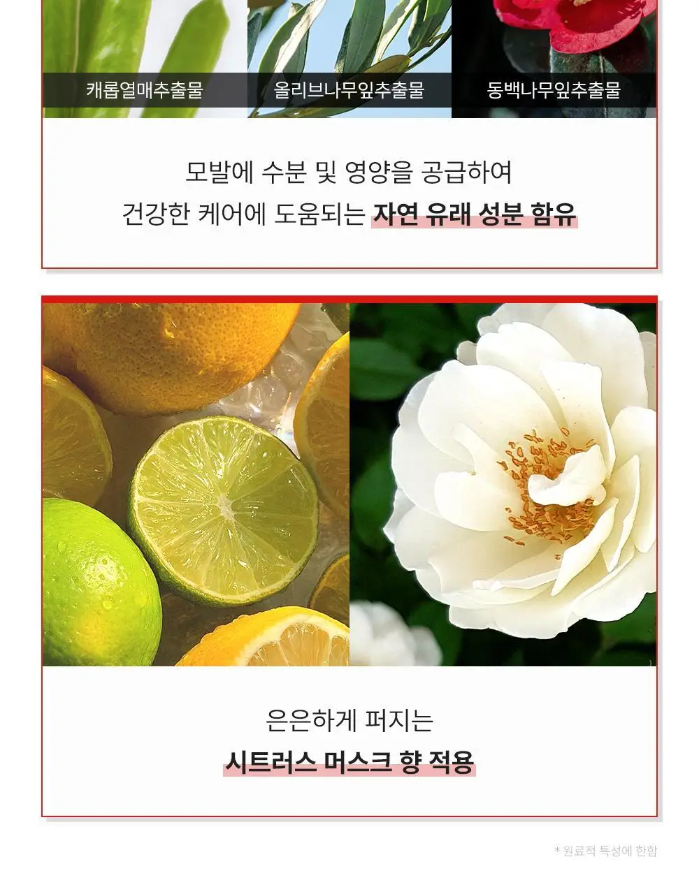 [강력고정]그라펜 제주해수 메가홀드 가스스프레이 100ml/250ml 상세페이지 6